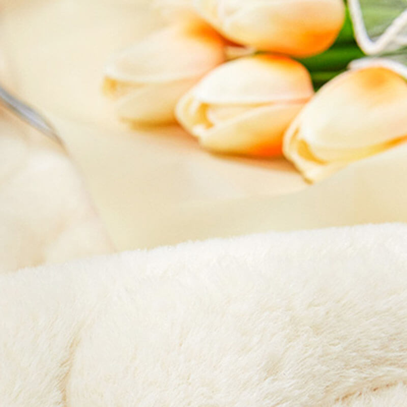 INS Style Thickened Imitation Rabbit Hair Carpet, Non-Slip Living Room and Bedroom Rug