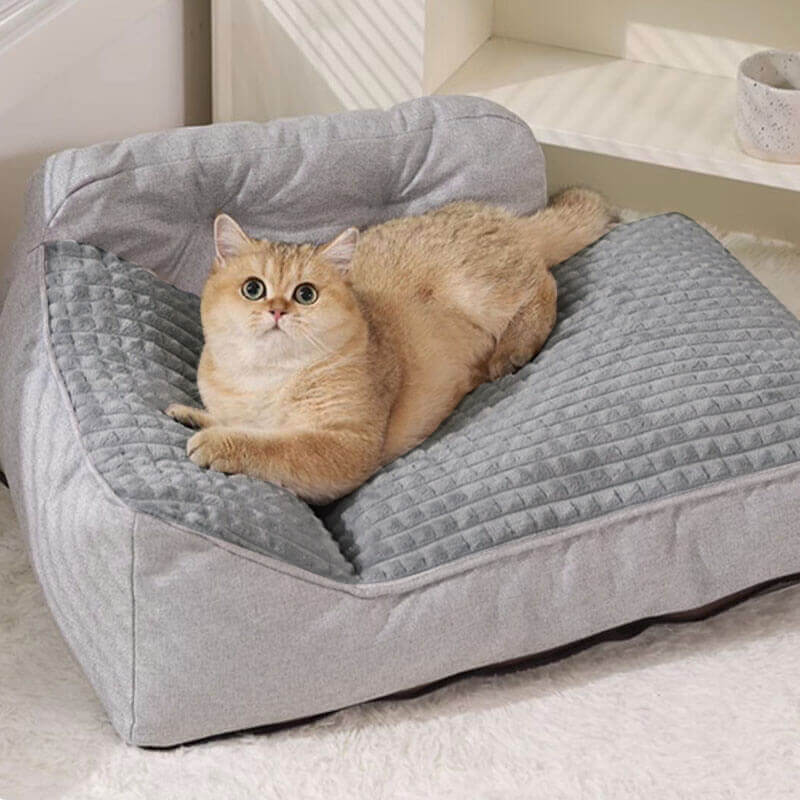 All Seasons Thickened Large Washable Cat & Dog Pillow Bed for Comfort