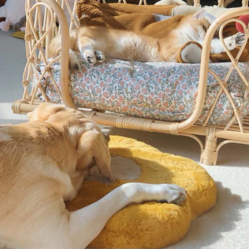 Tappetino per gatti in memory foam con motivo a girasole, cuscino per seduta