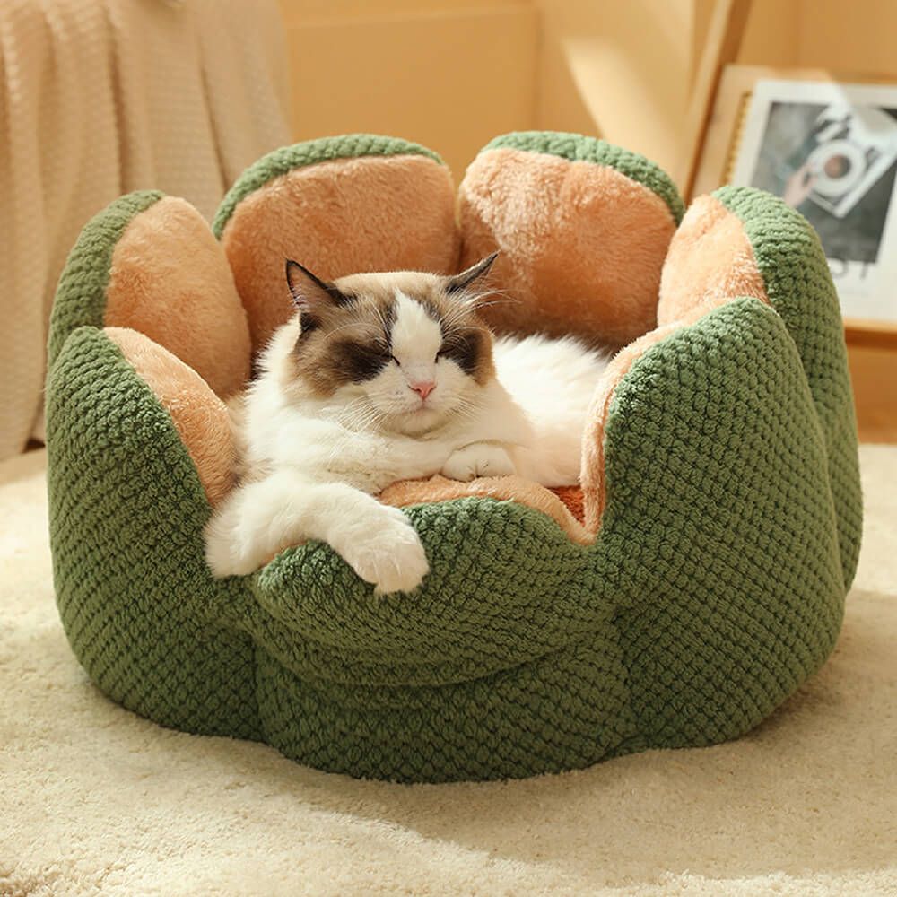 Cactus Shaped Cozy Pet Bed