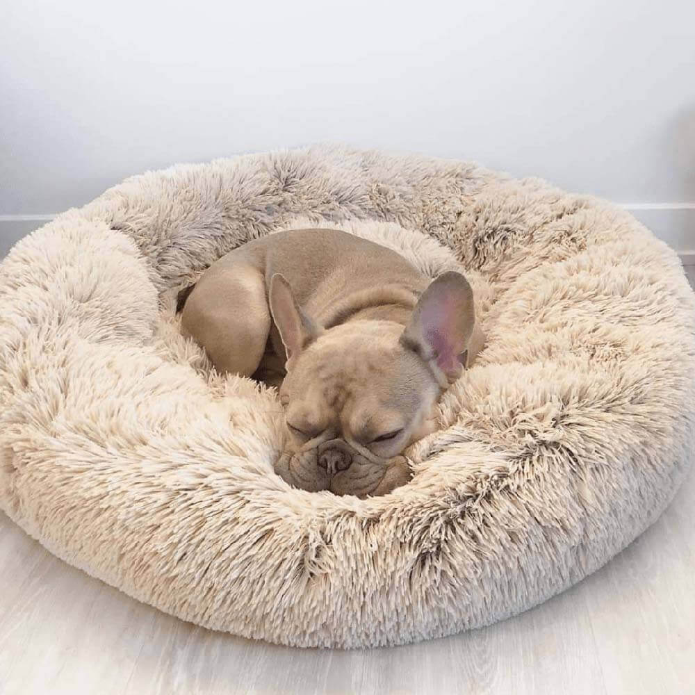 Fuzzy Round Fluffy Dog Bed for Ultimate Comfort