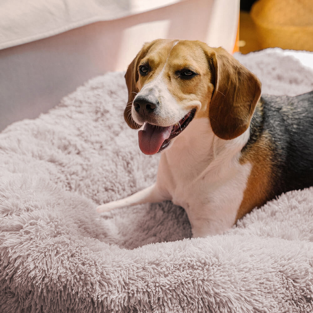 Fuzzy Round Fluffy Dog Bed for Ultimate Comfort