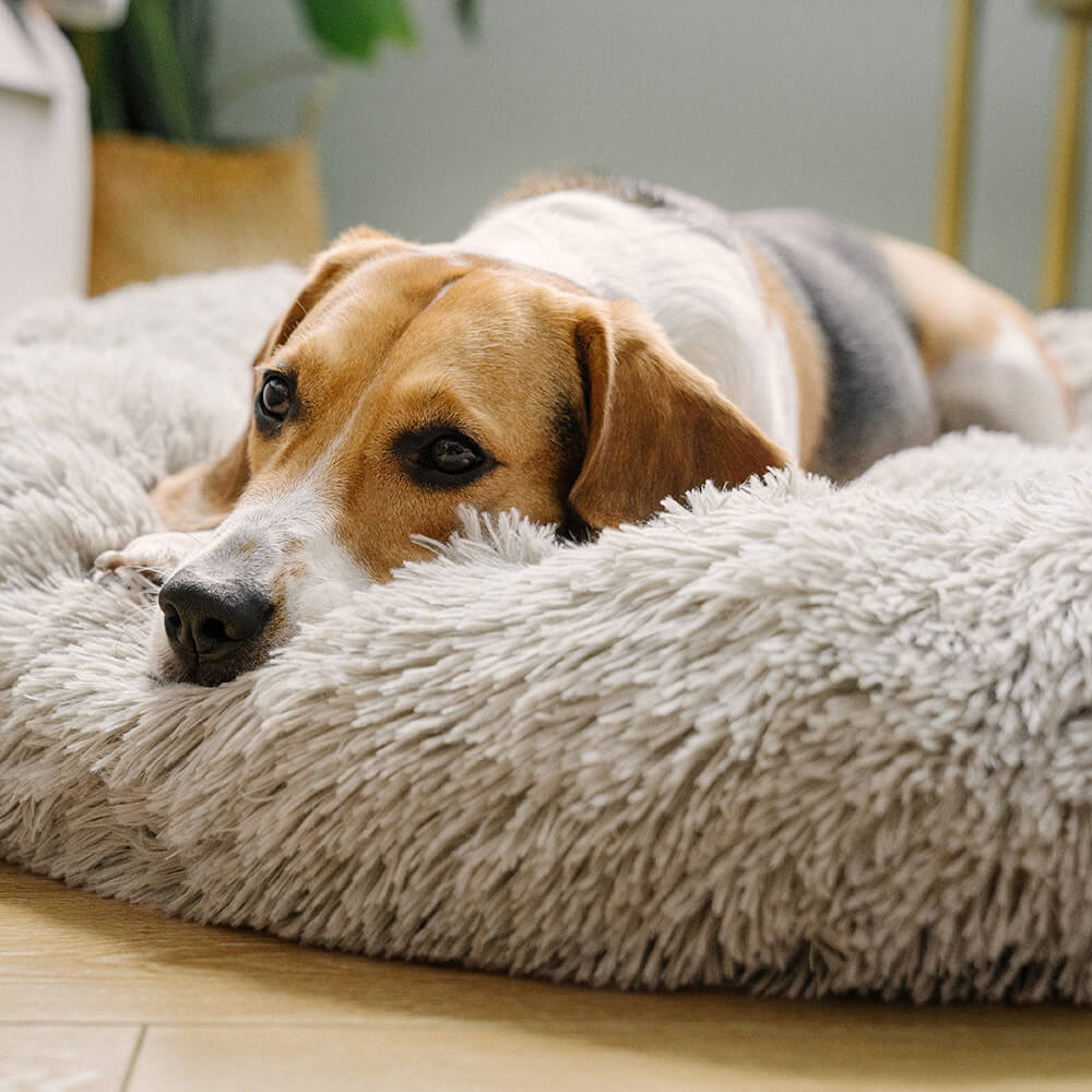 Fuzzy Round Fluffy Dog Bed for Ultimate Comfort