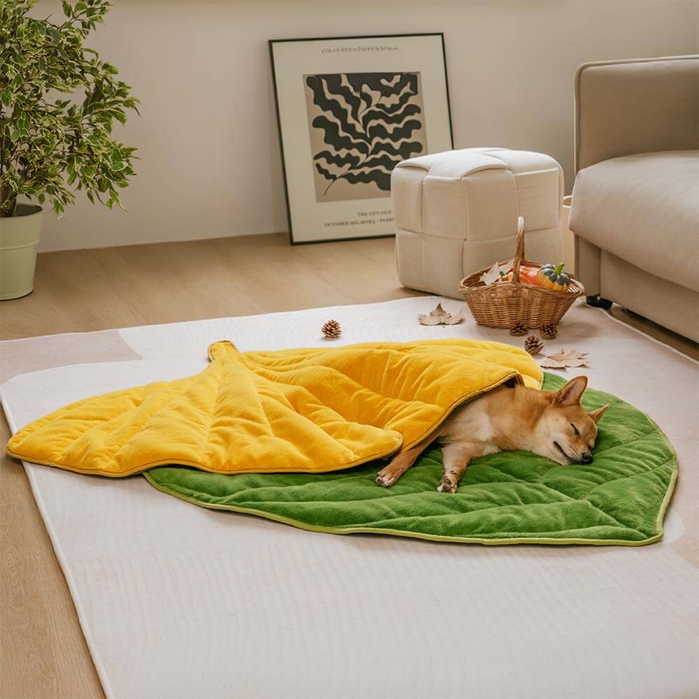 Leaf-Shaped Plush Washable Dog Mat, The Leaf Collector