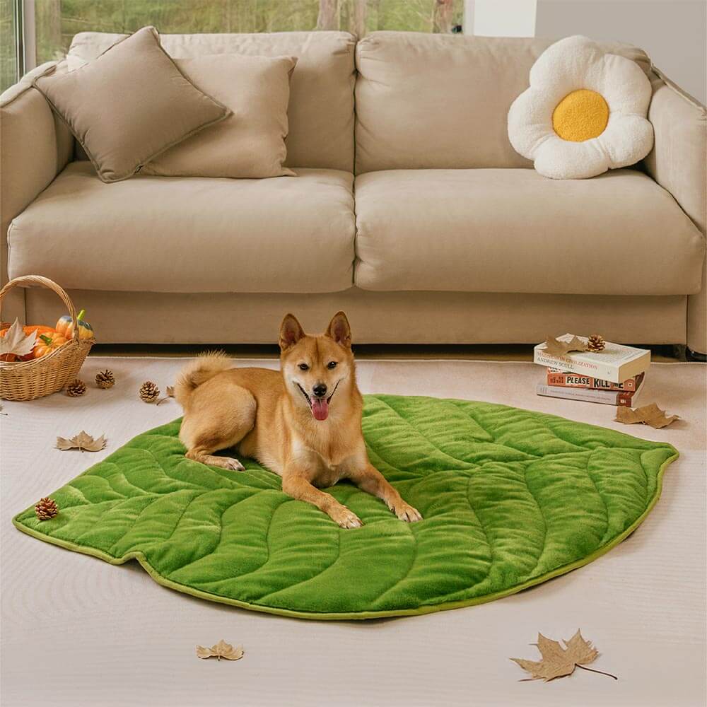 Leaf-Shaped Plush Washable Dog Mat, The Leaf Collector