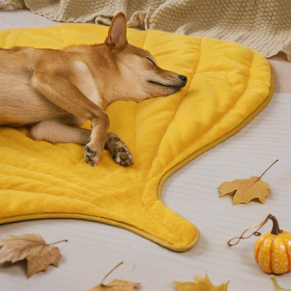 Leaf-Shaped Plush Washable Dog Mat, The Leaf Collector