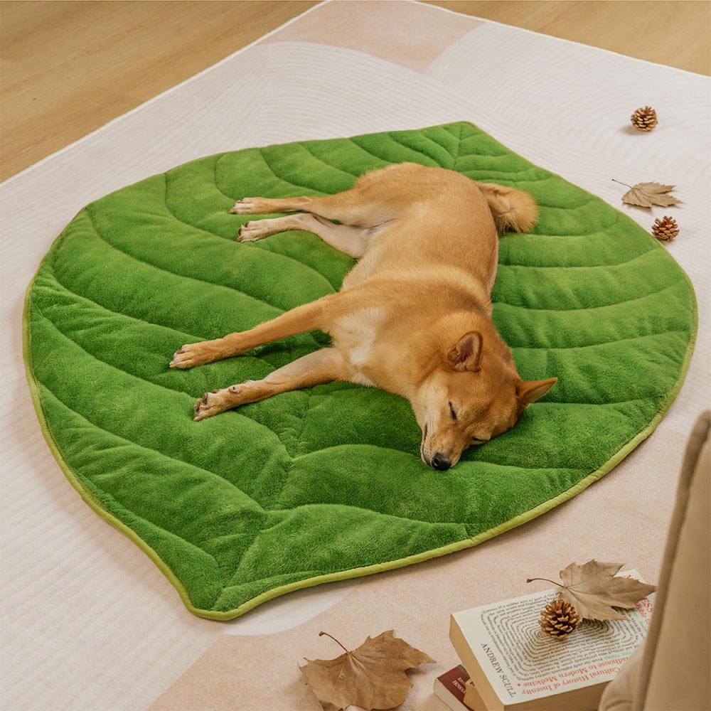 Leaf-Shaped Plush Washable Dog Mat, The Leaf Collector