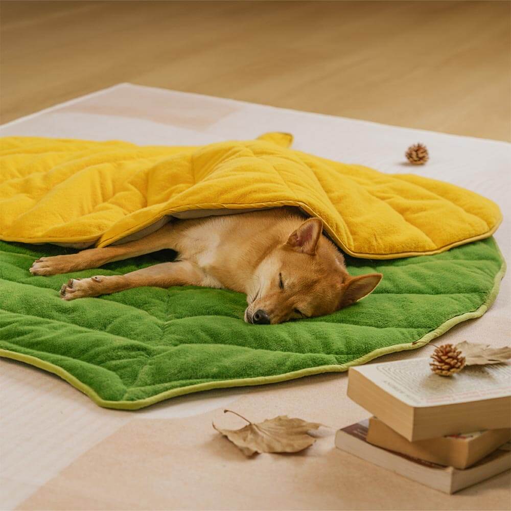 Leaf-Shaped Plush Washable Dog Mat, The Leaf Collector