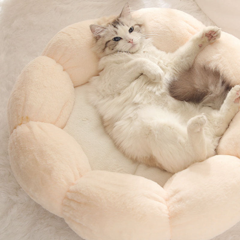 Flower-Shaped Enclosed Cat Bed