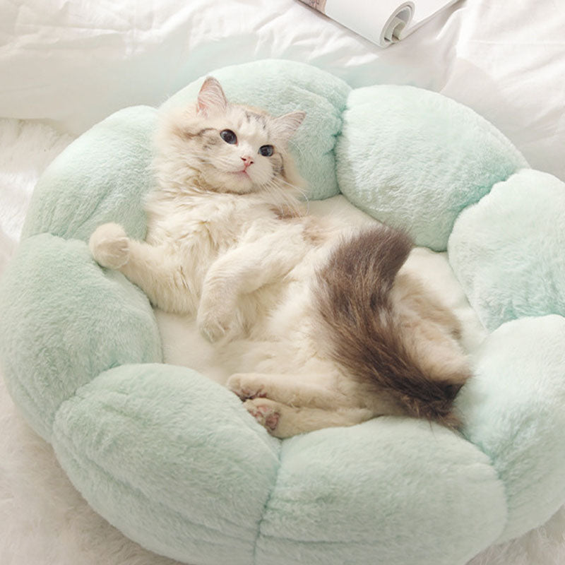 Flower-Shaped Enclosed Cat Bed