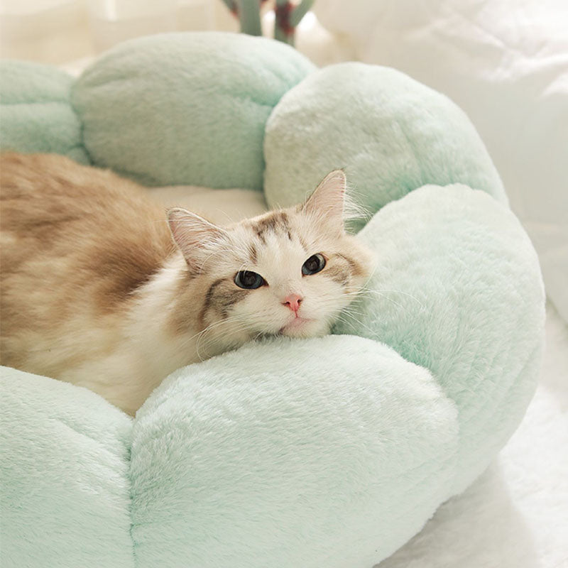 Flower-Shaped Enclosed Cat Bed