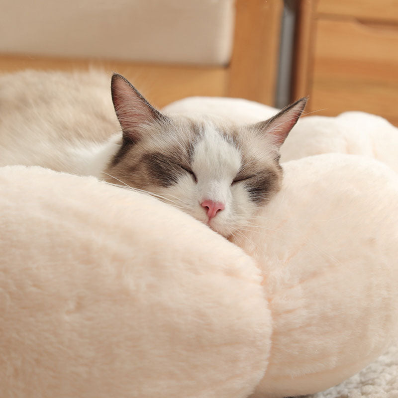 Flower-Shaped Enclosed Cat Bed