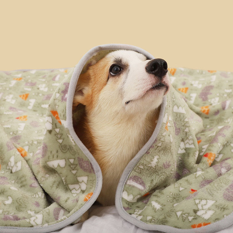 Coral Velvet Pet Blanket, Soft Small Sleeping Cover