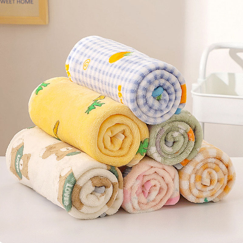 Coral Velvet Pet Blanket, Soft Small Sleeping Cover