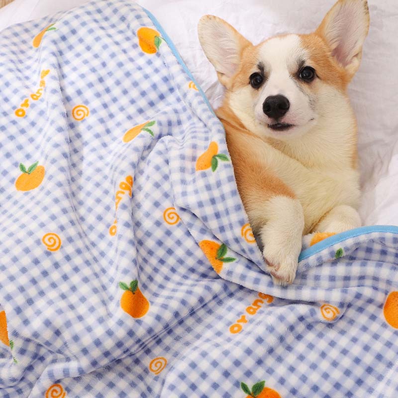 Coral Velvet Pet Blanket, Soft Small Sleeping Cover