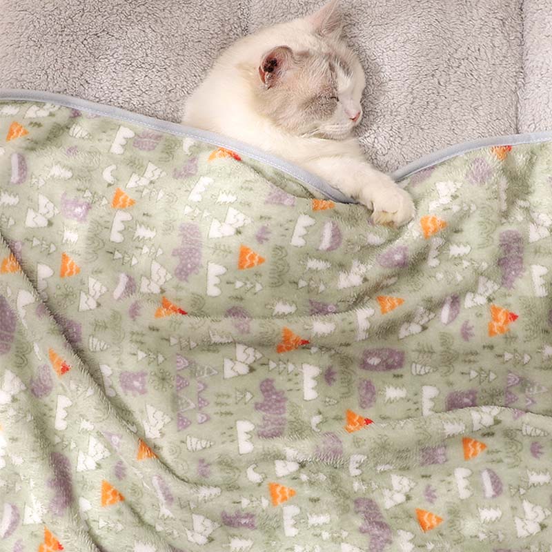 Coral Velvet Pet Blanket, Soft Small Sleeping Cover