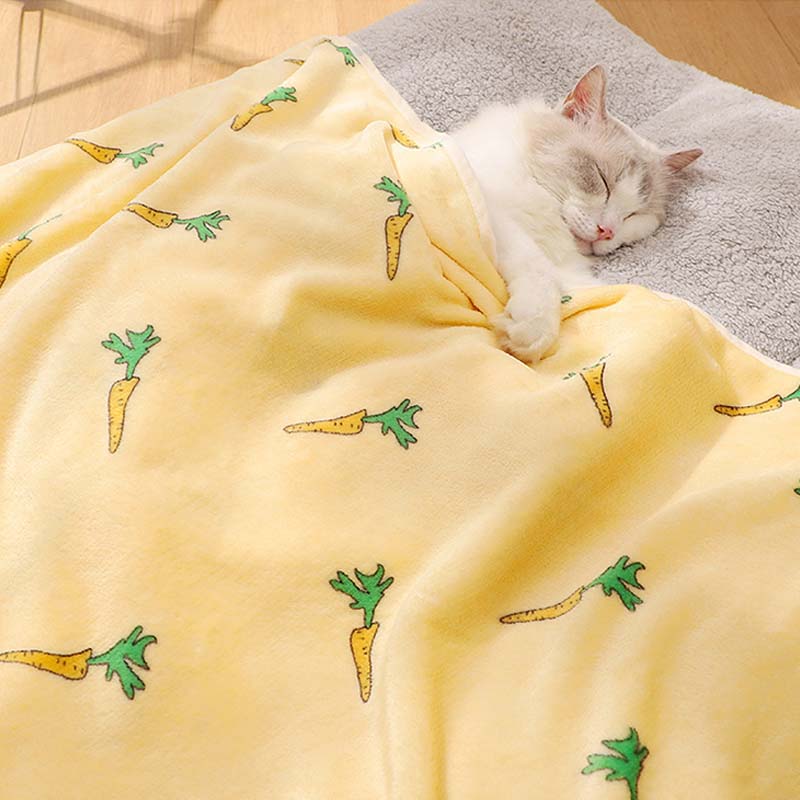 Coral Velvet Pet Blanket, Soft Small Sleeping Cover