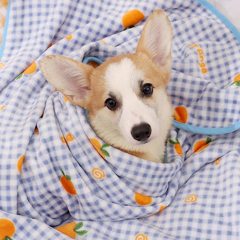 Coral Velvet Pet Blanket, Soft Small Sleeping Cover