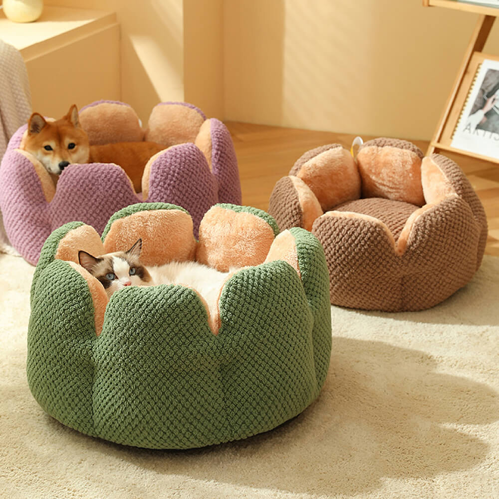 Cactus Shaped Cozy Pet Bed