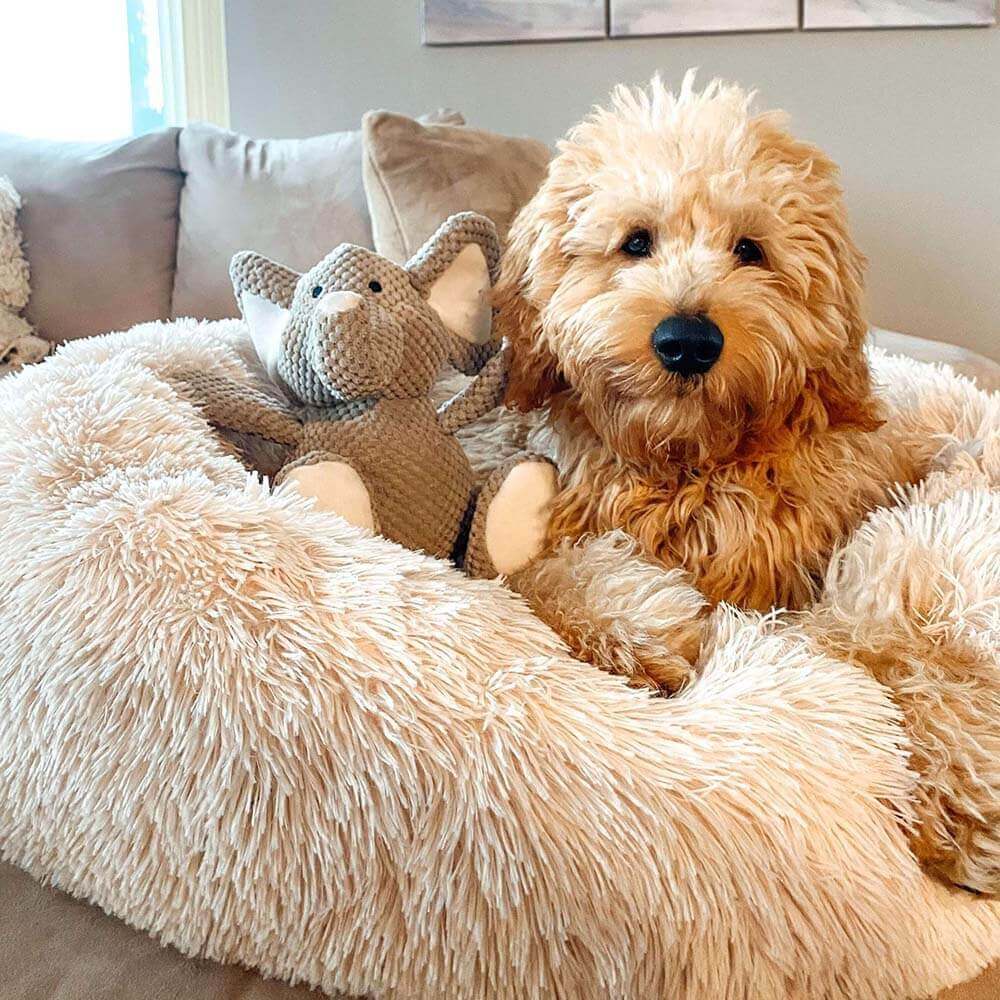 Fuzzy Round Fluffy Dog Bed for Ultimate Comfort