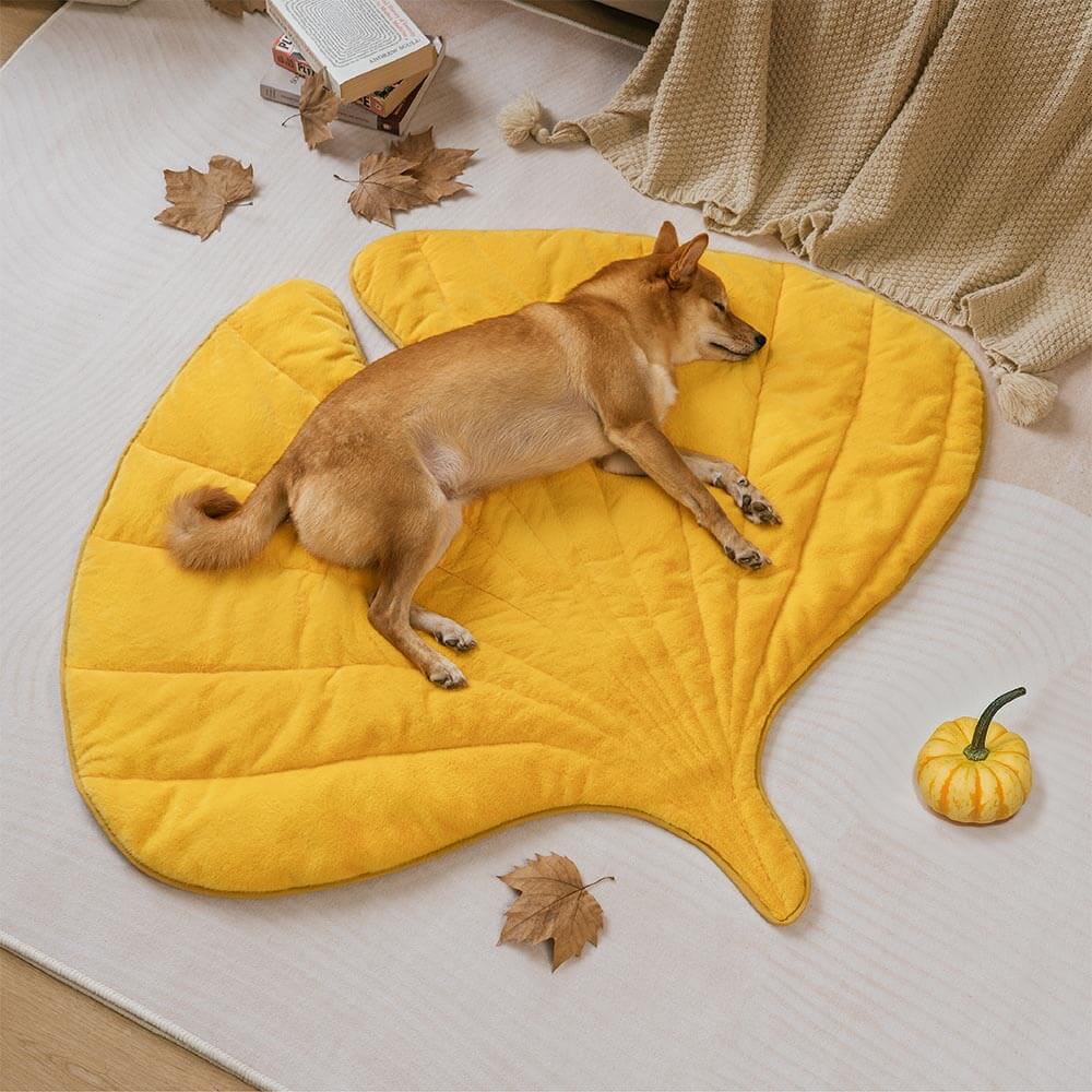 Leaf-Shaped Plush Washable Dog Mat, The Leaf Collector