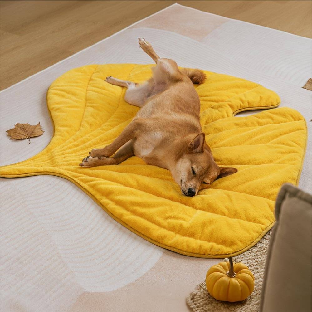 Leaf-Shaped Plush Washable Dog Mat, The Leaf Collector