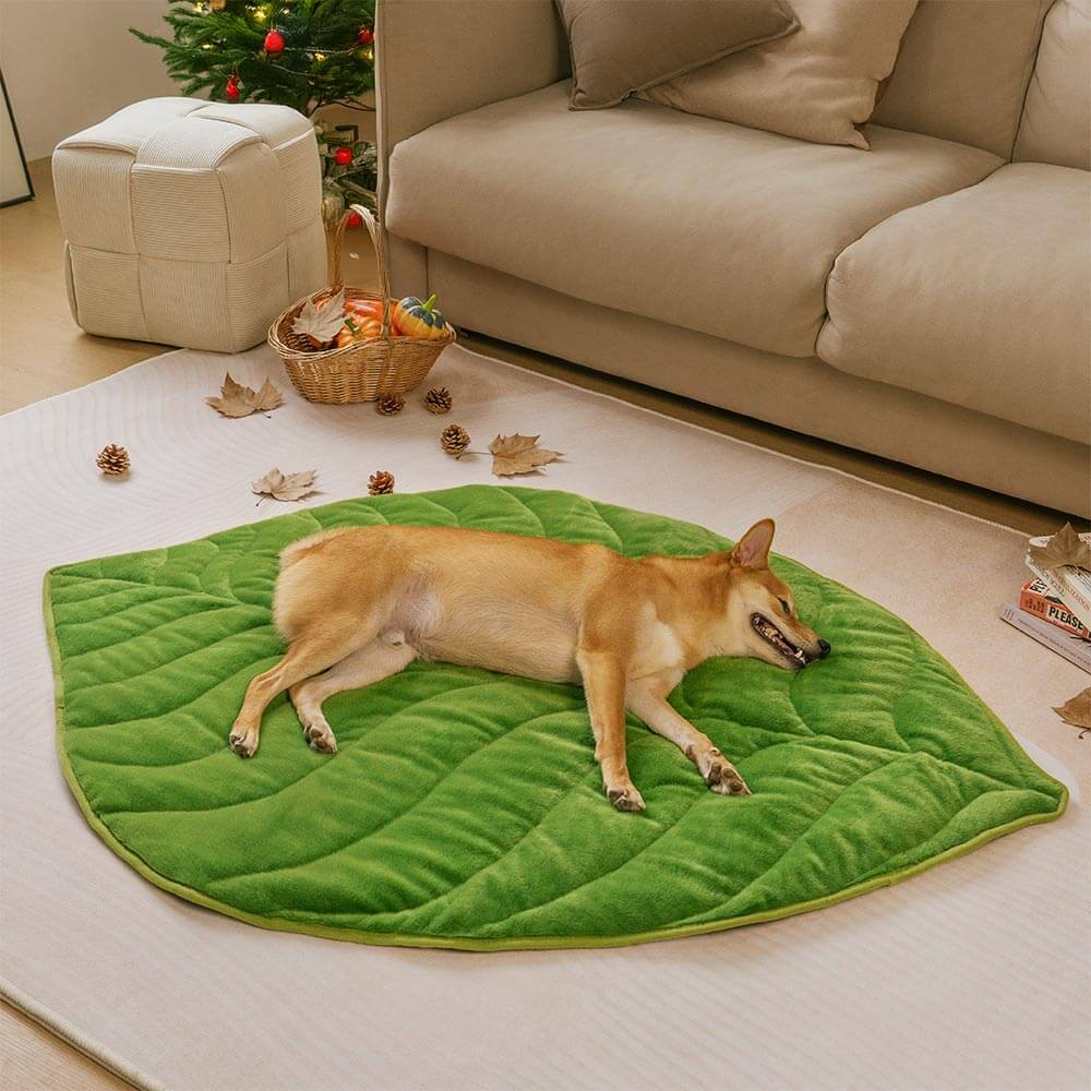 Leaf-Shaped Plush Washable Dog Mat, The Leaf Collector