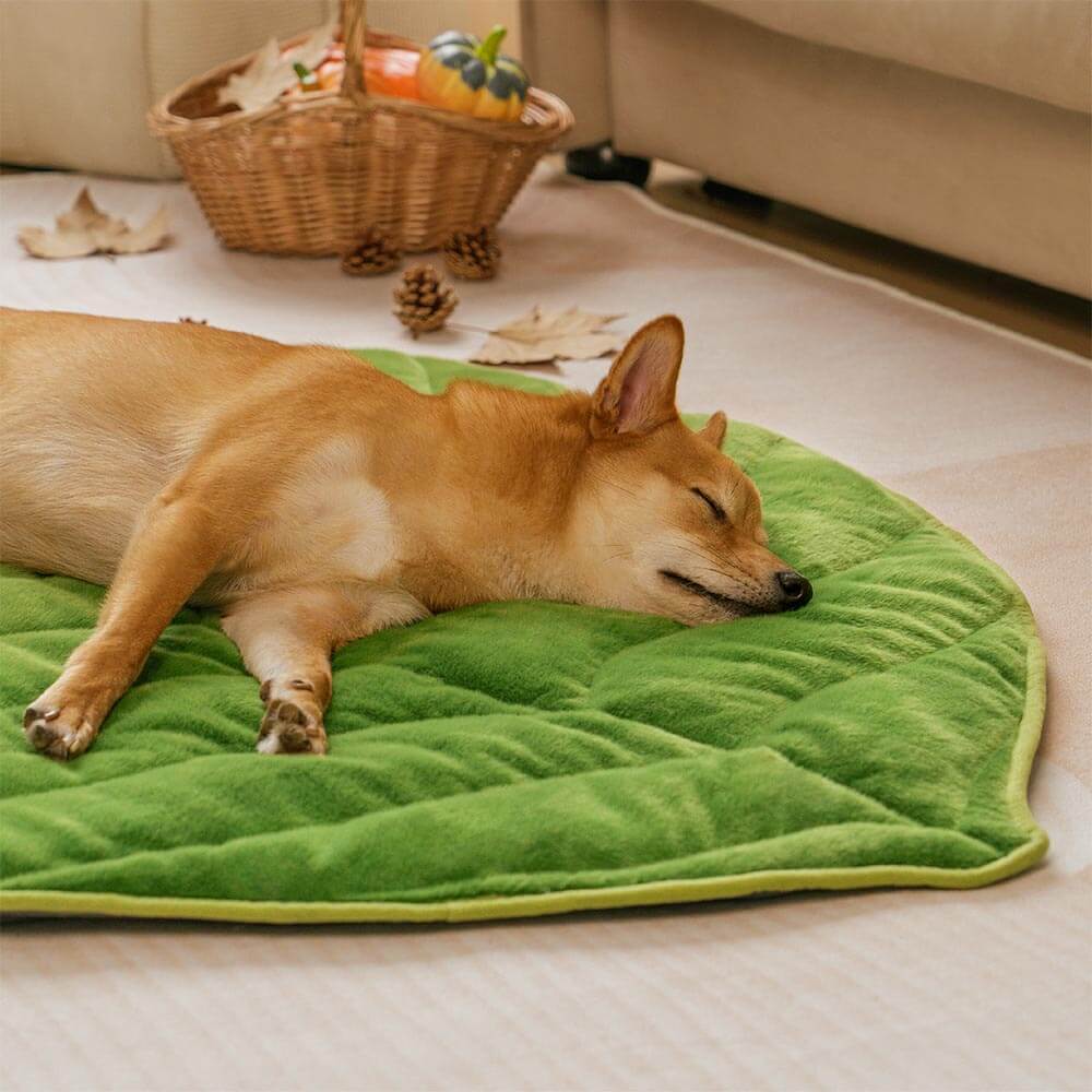 Leaf-Shaped Plush Washable Dog Mat, The Leaf Collector