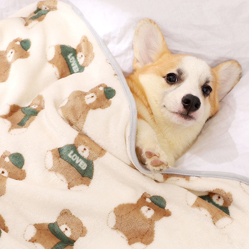 Coral Velvet Pet Blanket, Soft Small Sleeping Cover