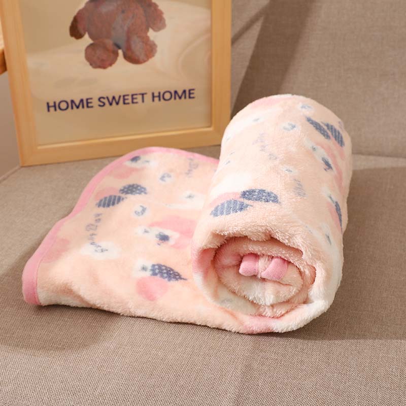 Coral Velvet Pet Blanket, Soft Small Sleeping Cover