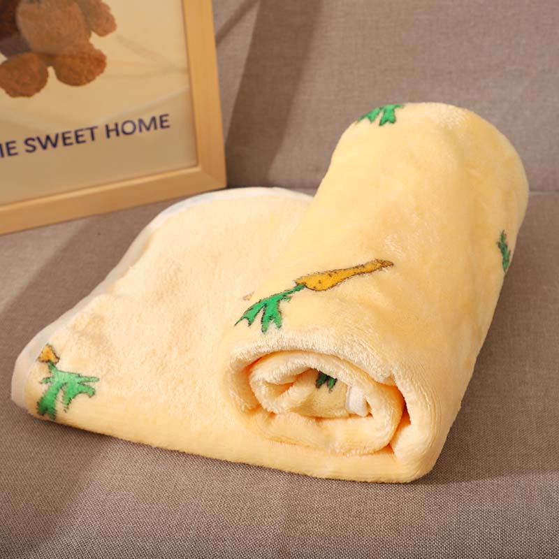 Coral Velvet Pet Blanket, Soft Small Sleeping Cover