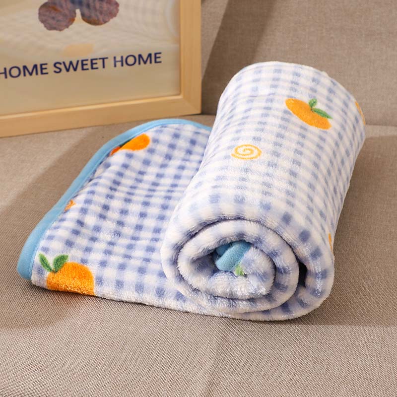 Coral Velvet Pet Blanket, Soft Small Sleeping Cover