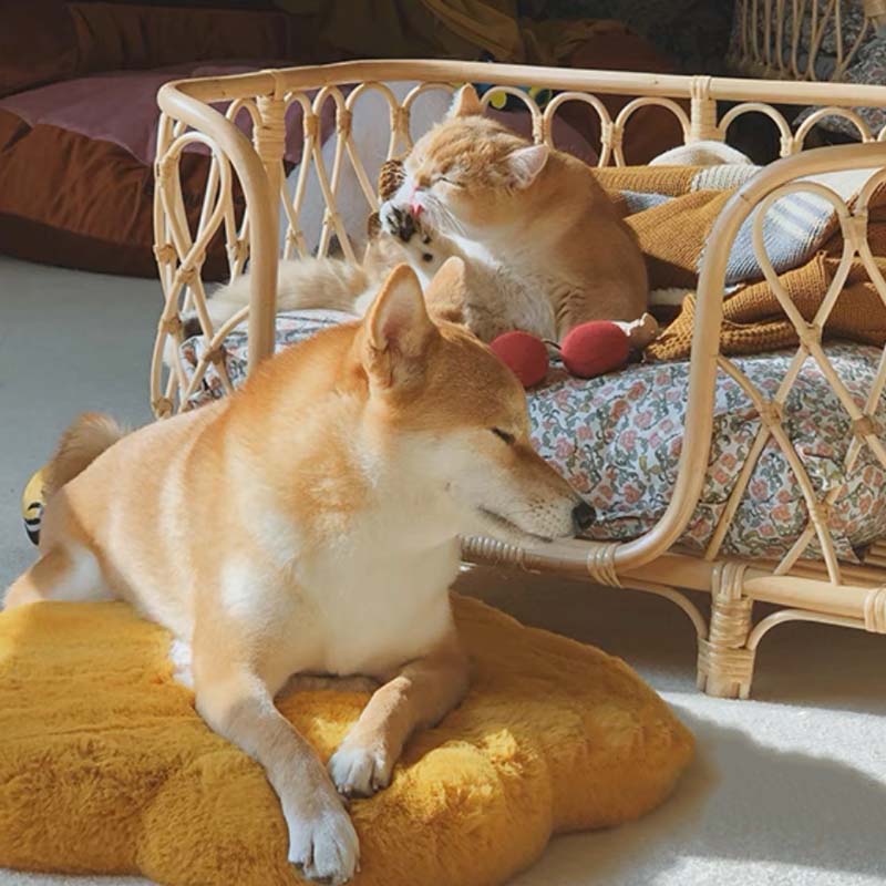 Soffice cuscino per sedile in memory foam per gatti con girasole