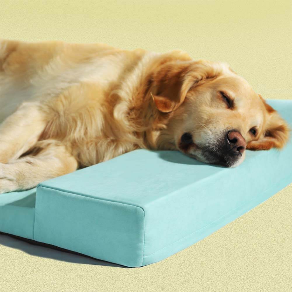 Matelas de couchage pour animaux de compagnie toutes saisons