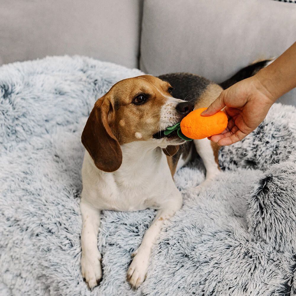 Lit pour chien protecteur de meubles apaisant - Dossier pelucheux