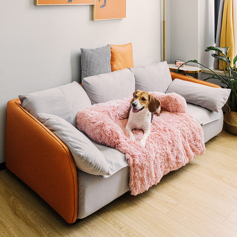 Lit pour chien protecteur de meubles apaisant - Dossier pelucheux
