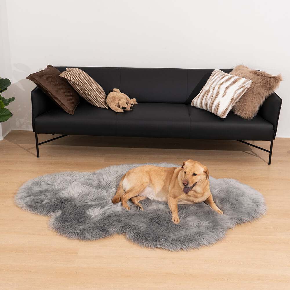 Tapis en peluche Tapis tendance pour animaux de compagnie Tapis de chambre