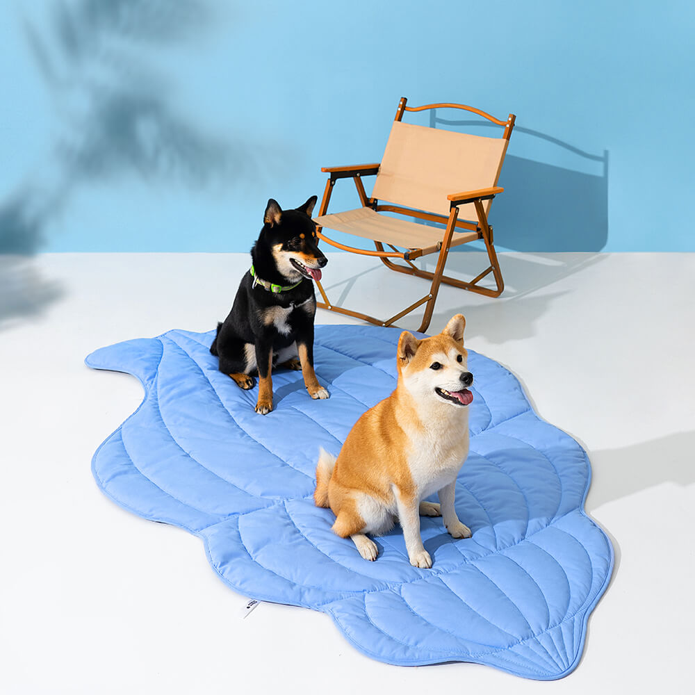 Couverture pour chien en forme de coquillage super grande, tapis humain