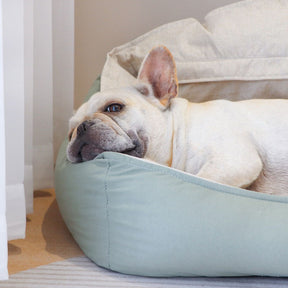 Sleeping Dog Bed for Large Dogs