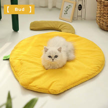 Pet Mat All Season Washable