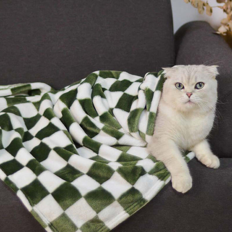 Cat blanket facecloth double-sided thickened four-season warm models