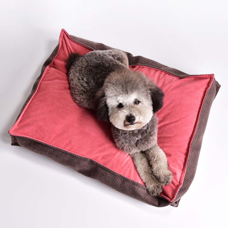 Tappetino per dormire quadrato per cani con colori vintage contrastanti