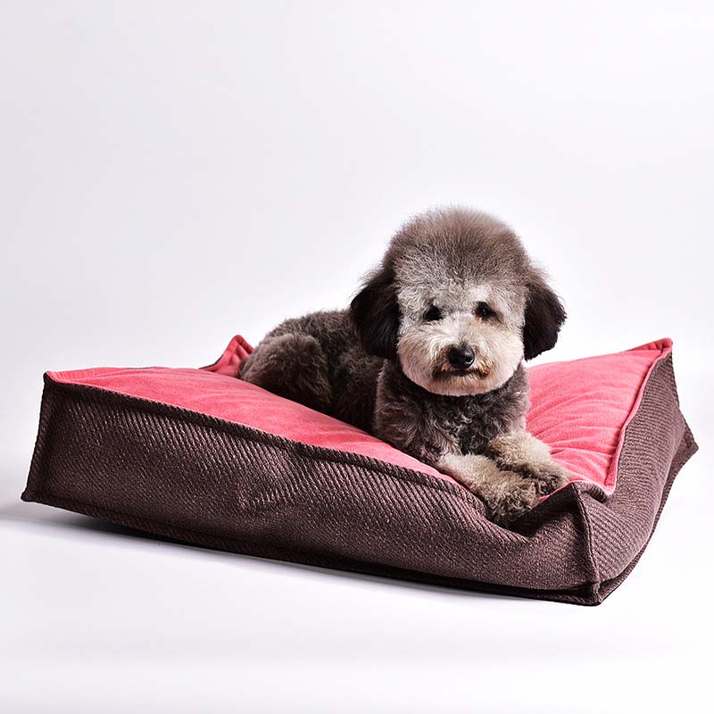 Tapis de couchage carré pour lit pour chien, couleurs contrastées vintage