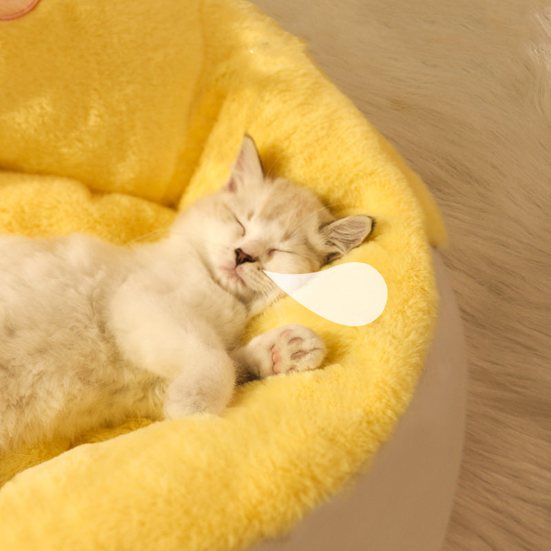 Warm Chicken Cuddle Cat Bed