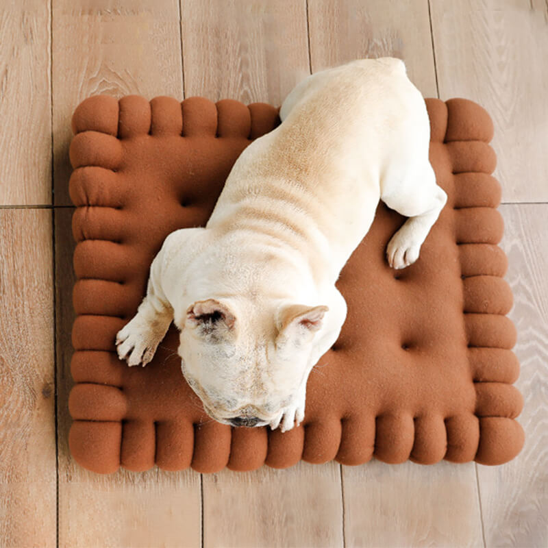 Biscuit Dog Bed